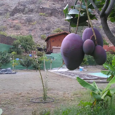 Gospodarstwo wiejskie Country House Marevina Rural Los Palmitos